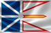 Newfoundland_flag_36978537_s